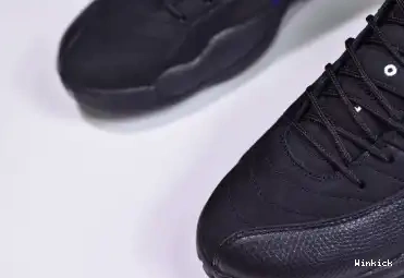 12 AIR “DARK JORDAN CONCORD” CT8013-005 0526